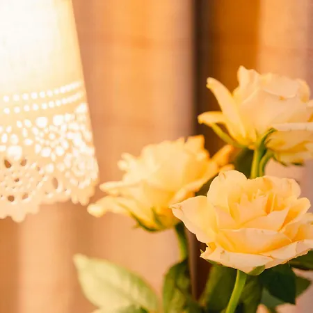 Orkla Gjestebolig 3* Lokken Verk