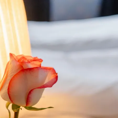 Bed & Breakfast Orkla Gjestebolig